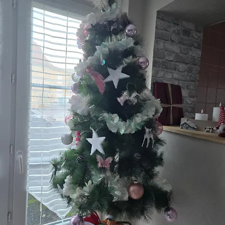 O'bocolecha Nyaraló *